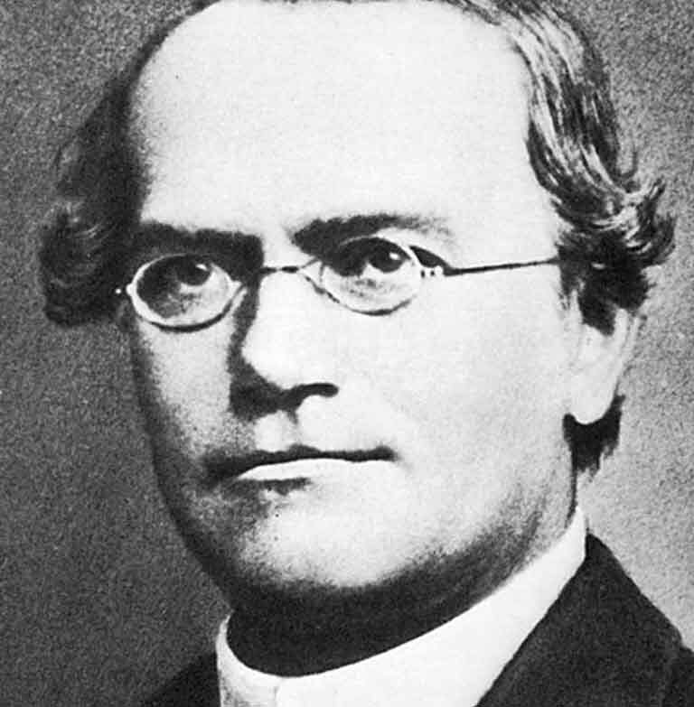 30 Interesting Bio Facts about Gregor Mendel, Geneticist