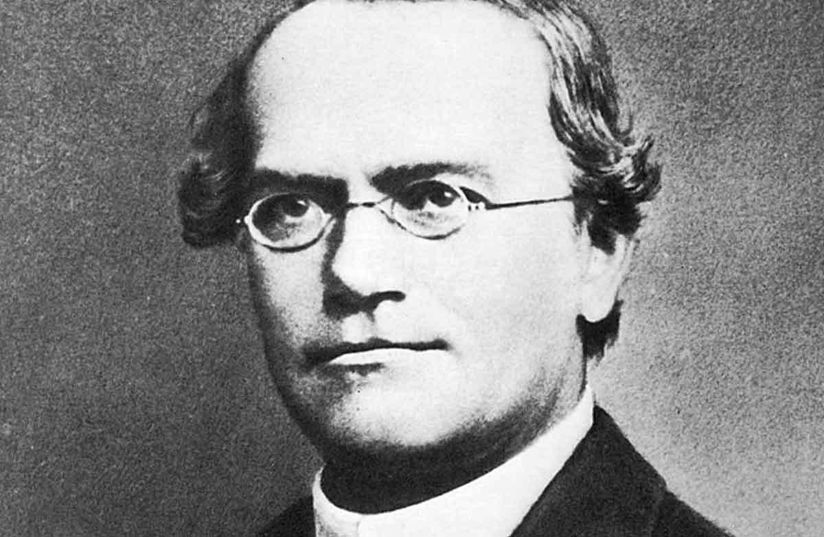 30 Interesting Bio Facts about Gregor Mendel, Geneticist - Biography Icon