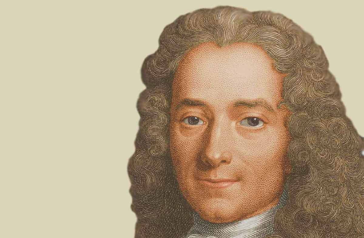 30 Interesting Biography Facts about Voltaire, a Philosopher ...